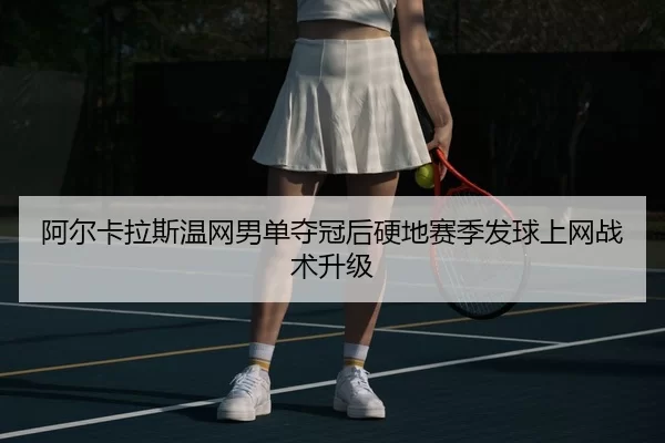 a-er-ka-la-si-wen-wang-nan-dan-duo-guan-hou-ying-di-sai-ji-fa-qiu-shang-wang-zhan-shu-sheng-ji-1-508.jpg