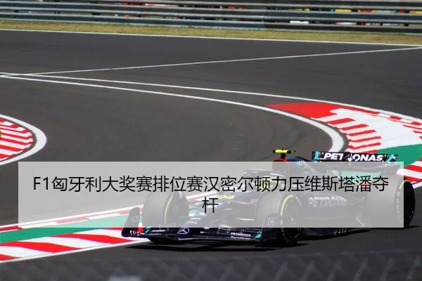 xiong-ya-li-da-jiang-sai-pai-wei-sai-han-mi-er-dun-li-ya-wei-si-ta-pan-duo-gan-1-412.jpg